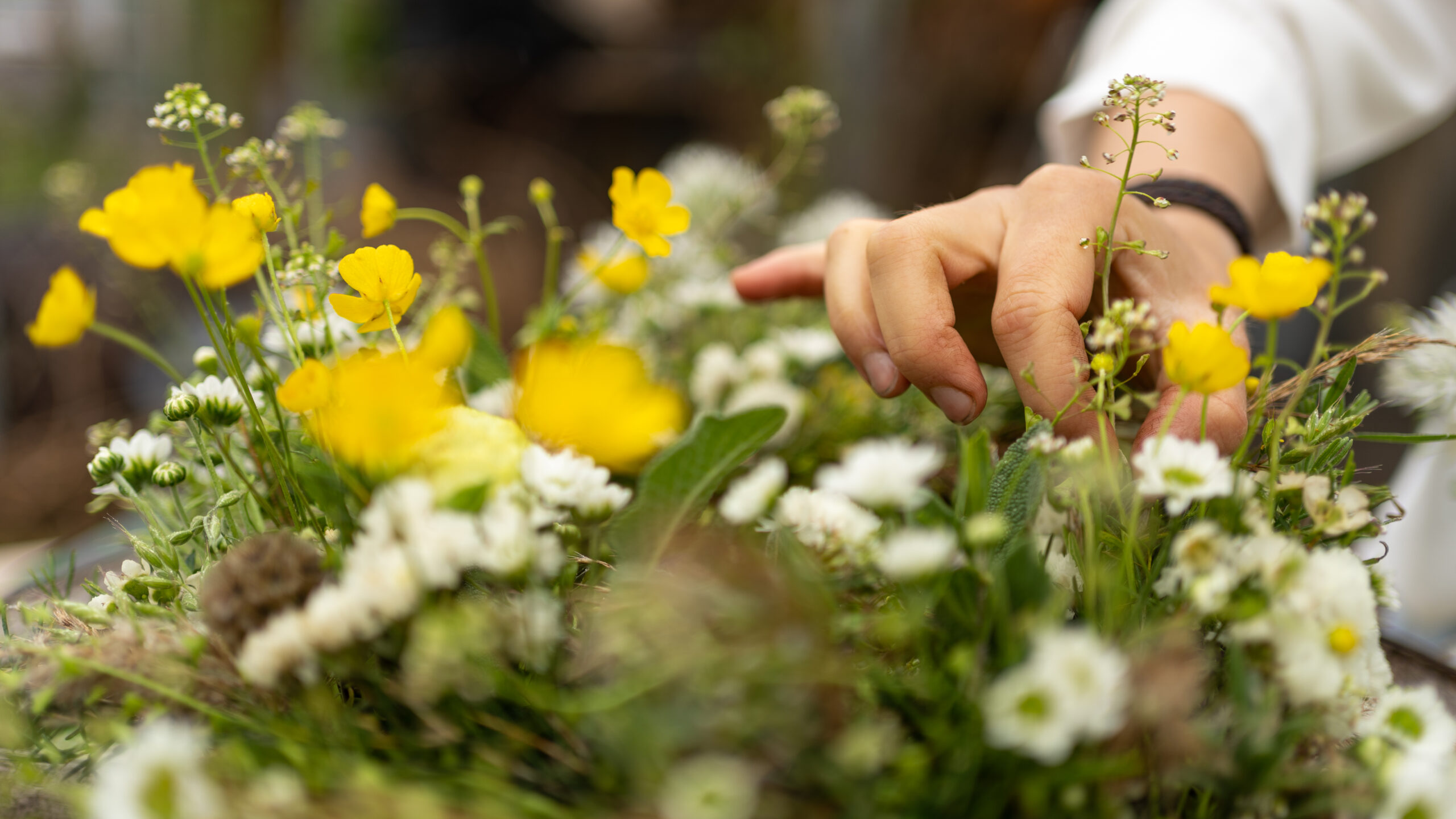 Handwerk, Floristik, Blumen, Regional, Nachhaltig